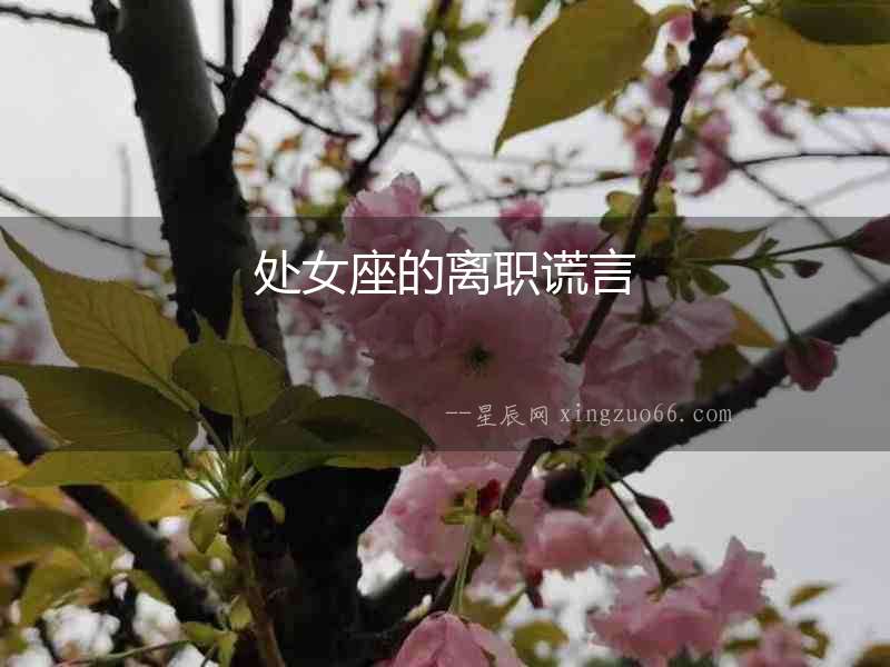 處女座的離職謊言