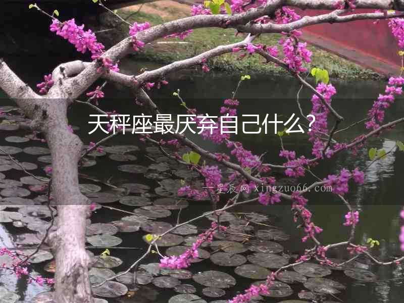 天秤座最厭棄自己什么？