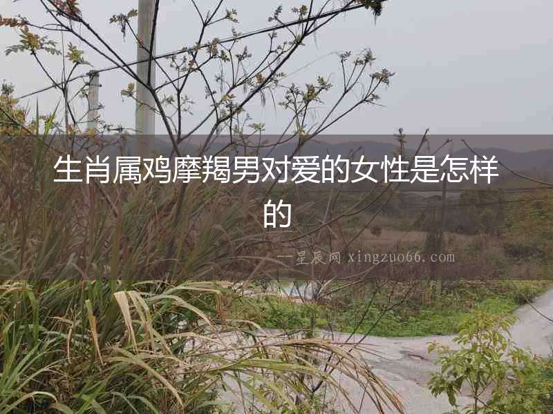 生肖屬雞摩羯男對愛的女性是怎樣的