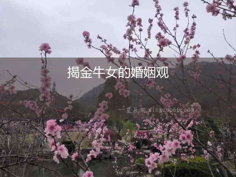 揭金牛女的婚姻觀