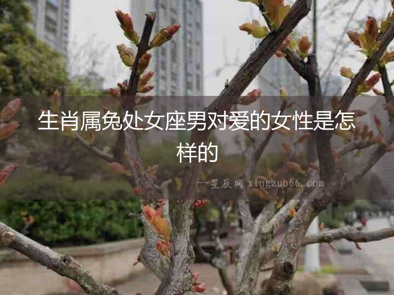 生肖屬兔處女座男對愛的女性是怎樣的