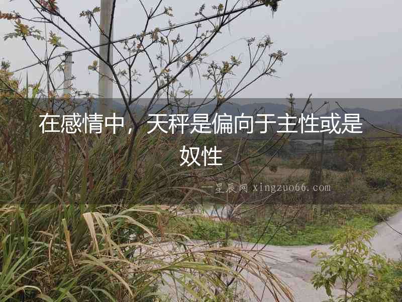 在感情中，天秤是偏向于主性或是奴性