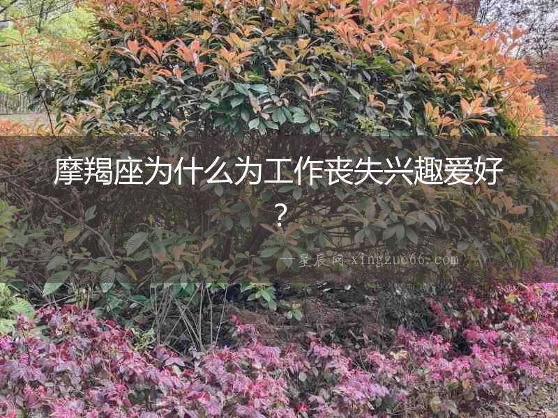 摩羯座為什么為工作喪失興趣愛好？