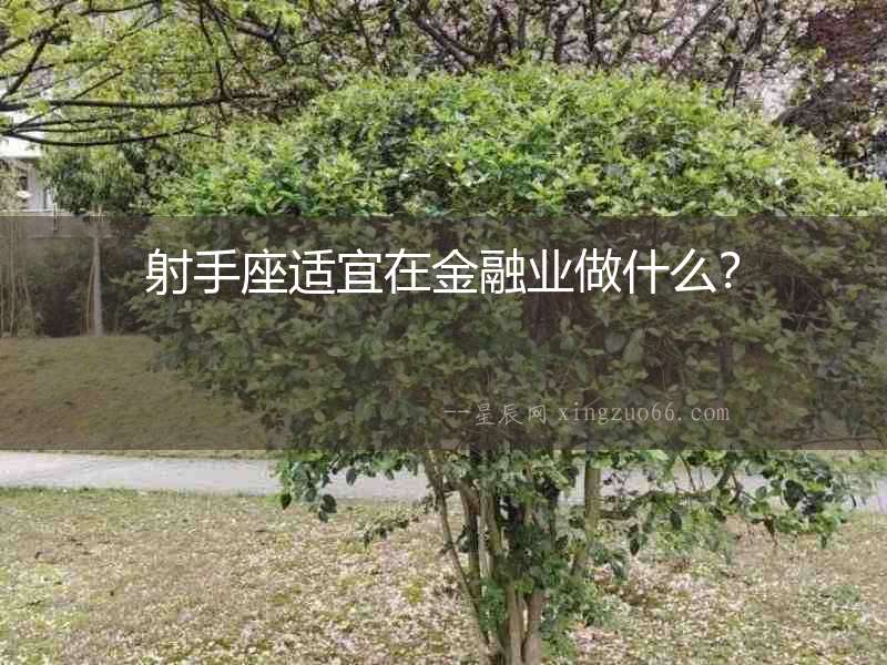 射手座適宜在金融業做什么？
