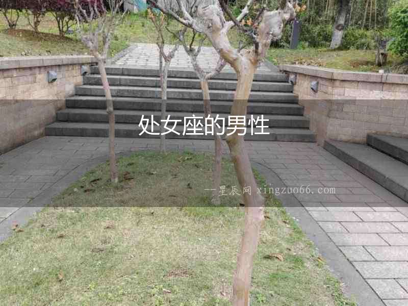 處女座的男性