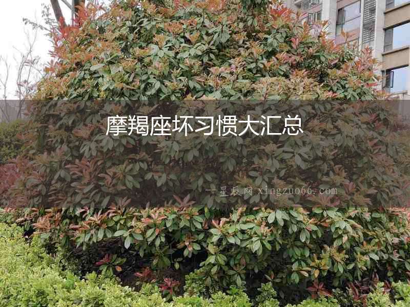 摩羯座壞習慣大匯總