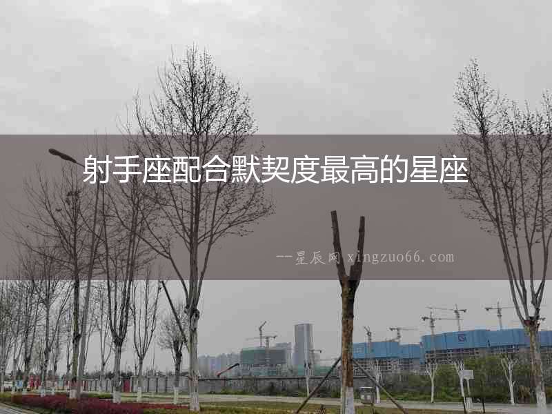 射手座配合默契度最高的星座