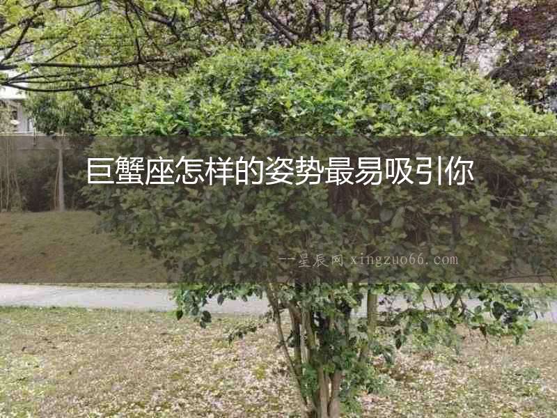 巨蟹座怎樣的姿勢(shì)最易吸引你