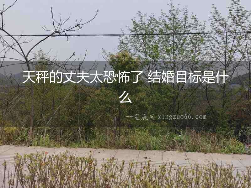 天秤的丈夫太恐怖了 結婚目標是什么