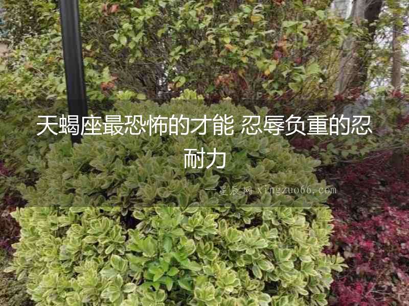 天蝎座最恐怖的才能 忍辱負重的忍耐力