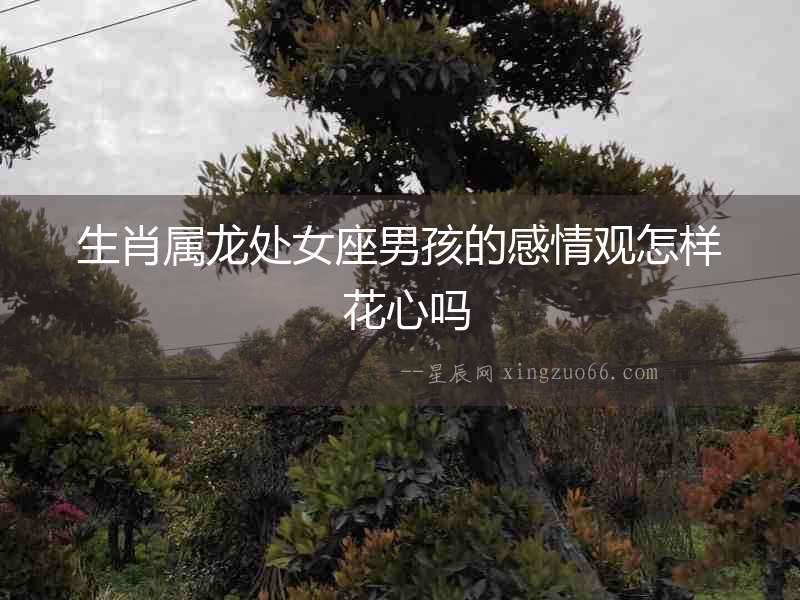 生肖屬龍?zhí)幣泻⒌母星橛^怎樣 花心嗎