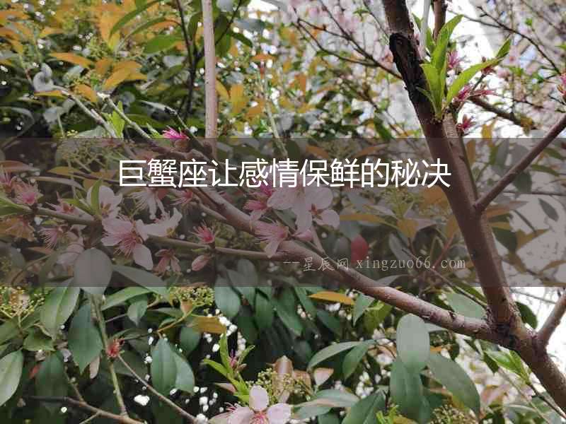 巨蟹座讓感情保鮮的秘決