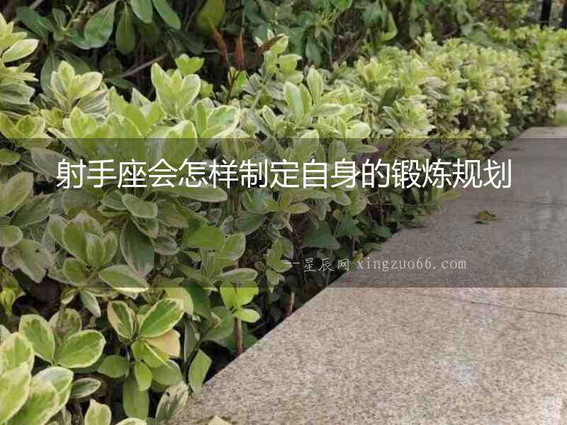 射手座會怎樣制定自身的鍛煉規劃