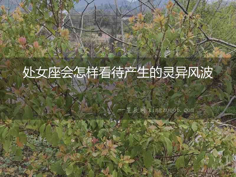 處女座會怎樣看待產生的靈異風波