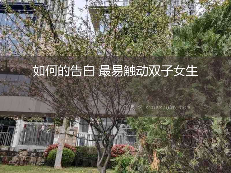 如何的告白 最易觸動雙子女生