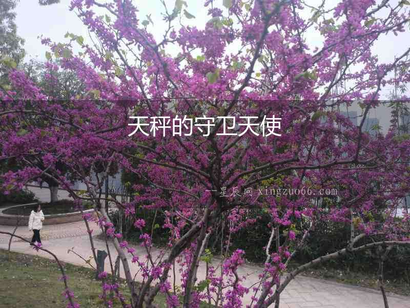 天秤的守衛天使