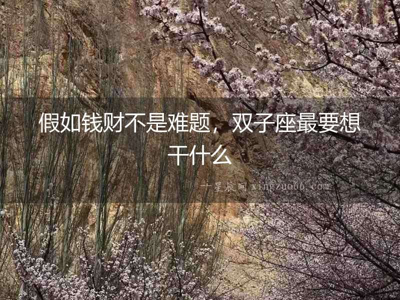 假如錢財不是難題，雙子座最要想干什么