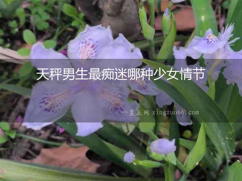 天秤男生最癡迷哪種少女情節