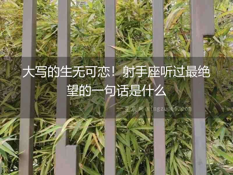 大寫的生無可戀！射手座聽過最絕望的一句話是什么