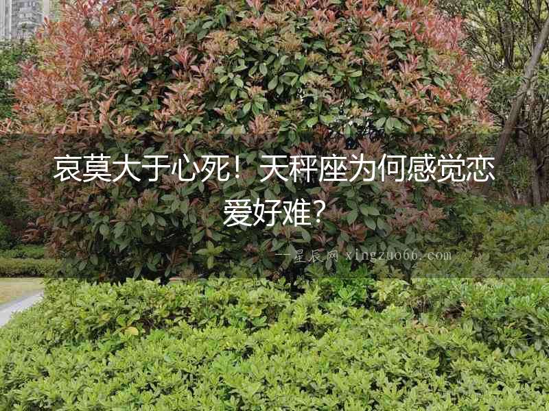 哀莫大于心死！天秤座為何感覺戀愛好難？