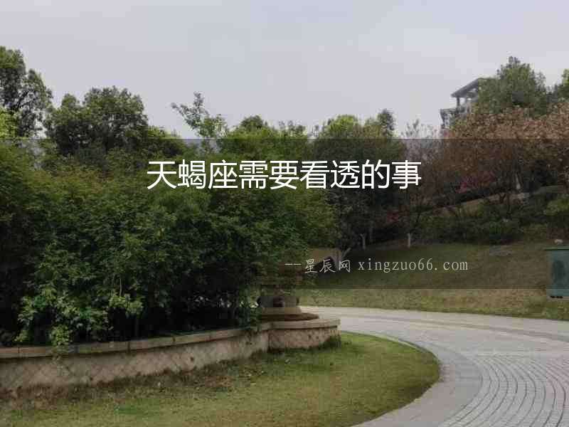 天蝎座需要看透的事