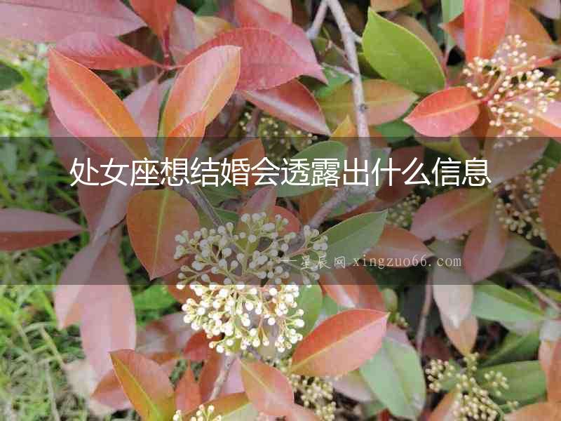 處女座想結婚會透露出什么信息