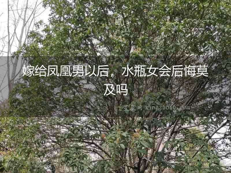 嫁給鳳凰男以后，水瓶女會后悔莫及嗎