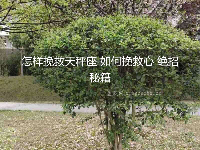 怎樣挽救天秤座 如何挽救心 絕招秘籍