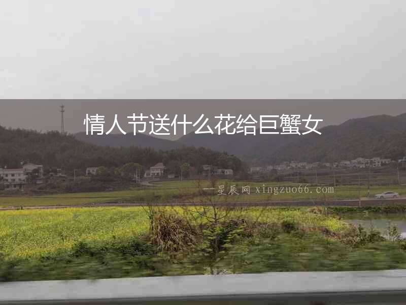 情人節(jié)送什么花給巨蟹女