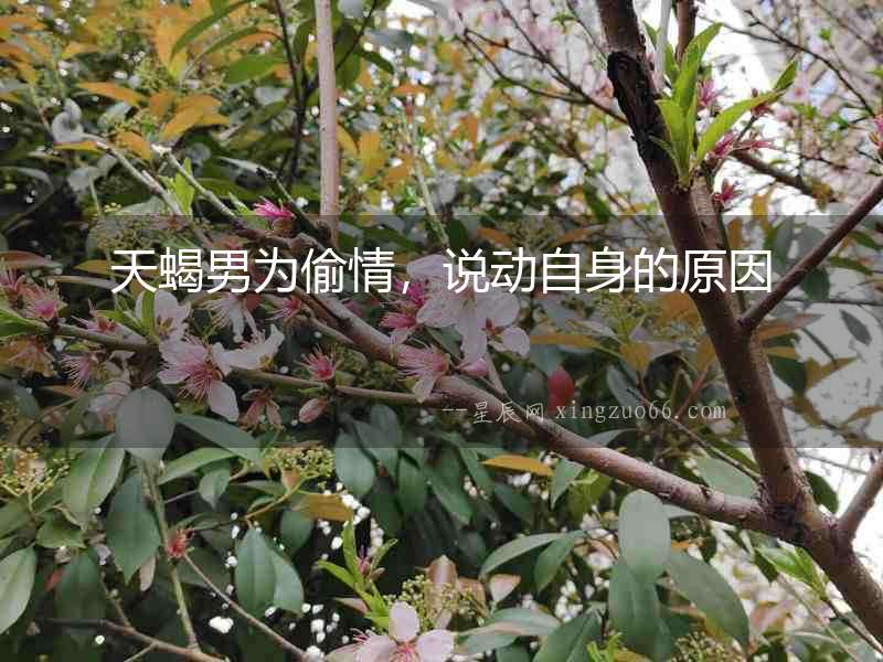 天蝎男為偷情，說動自身的原因