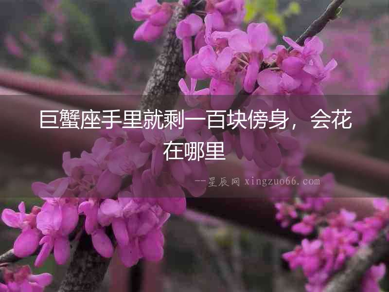 巨蟹座手里就剩一百塊傍身，會(huì)花在哪里