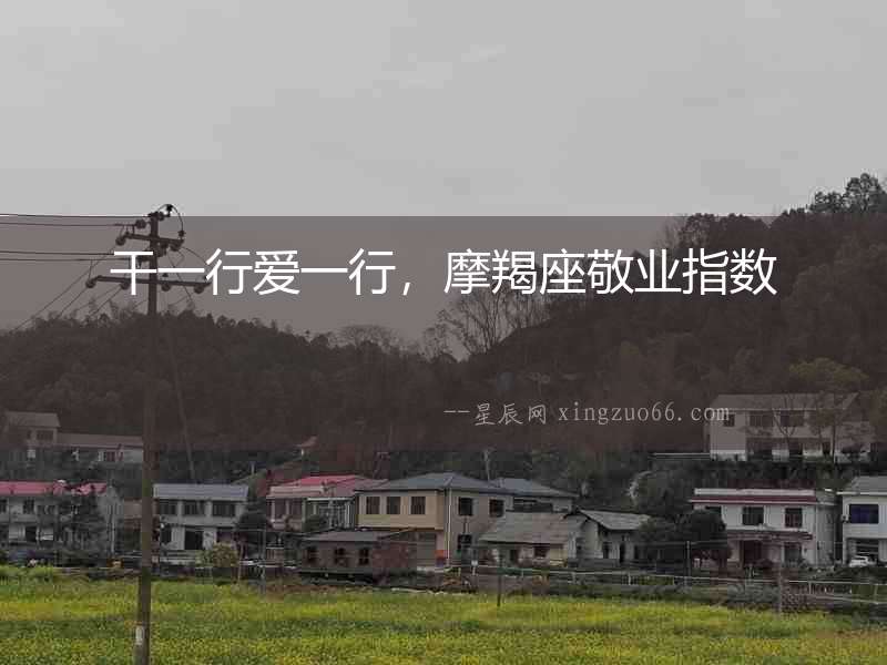 干一行愛一行，摩羯座敬業指數