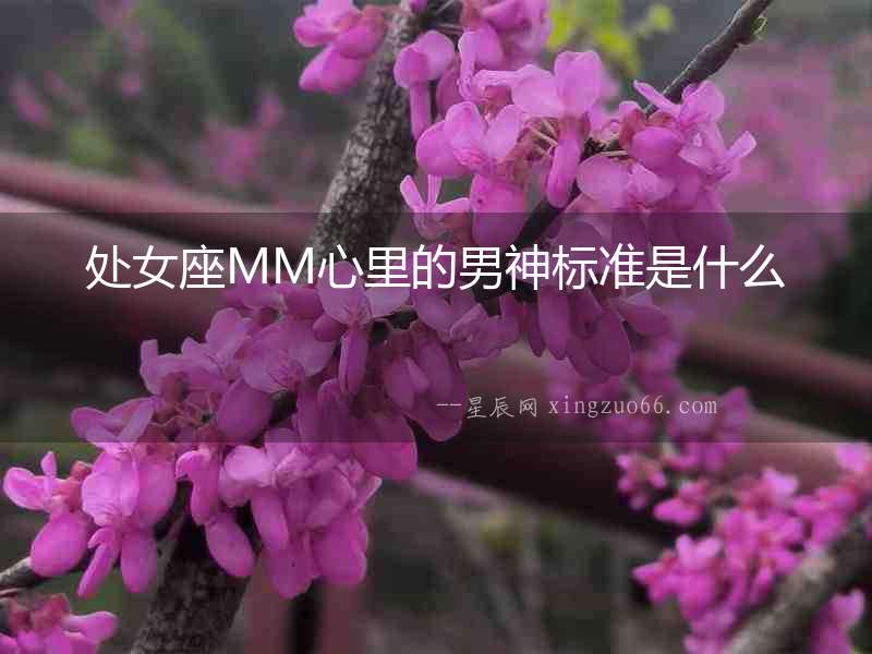 處女座MM心里的男神標(biāo)準(zhǔn)是什么
