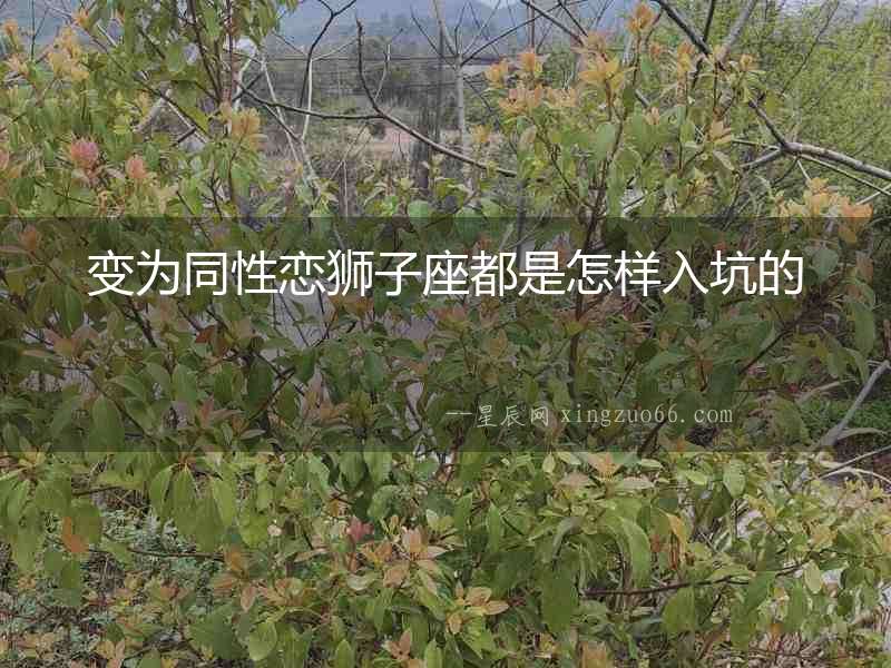 變為同性戀獅子座都是怎樣入坑的