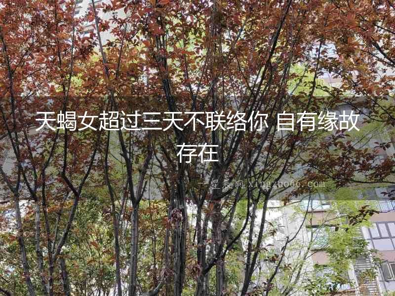 天蝎女超過三天不聯絡你 自有緣故存在