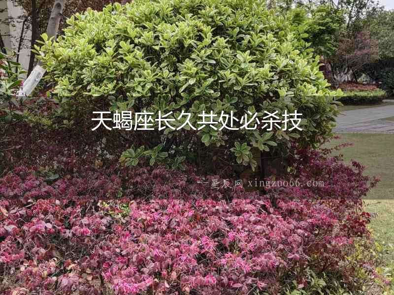 天蝎座長久共處必殺技