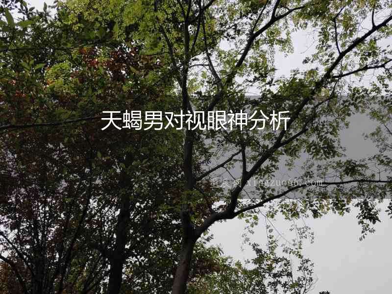 天蝎男對視眼神分析