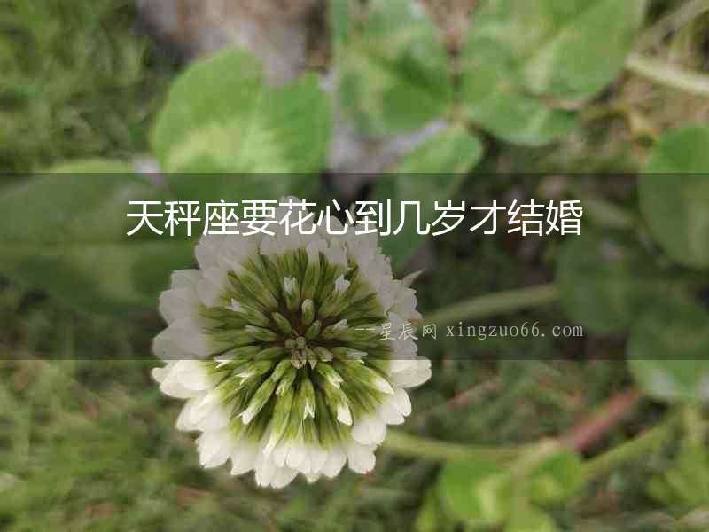 天秤座要花心到幾歲才結(jié)婚