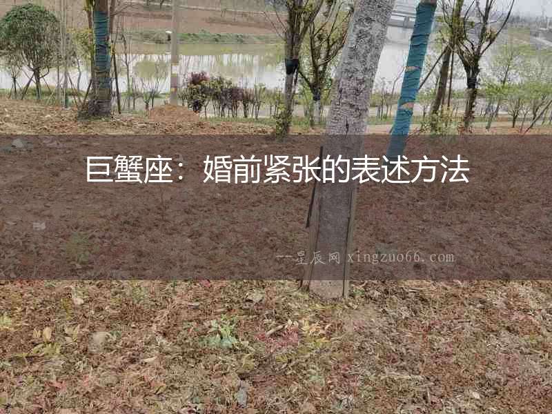 巨蟹座：婚前緊張的表述方法