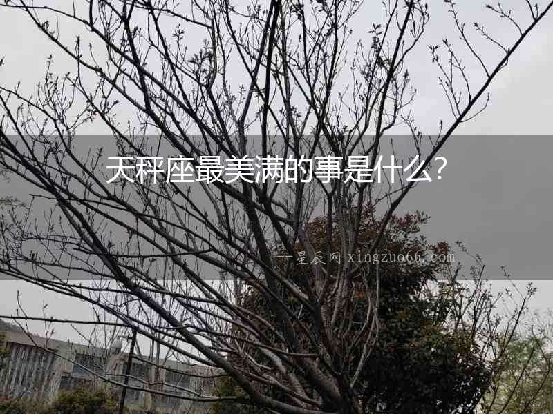 天秤座最美滿的事是什么？