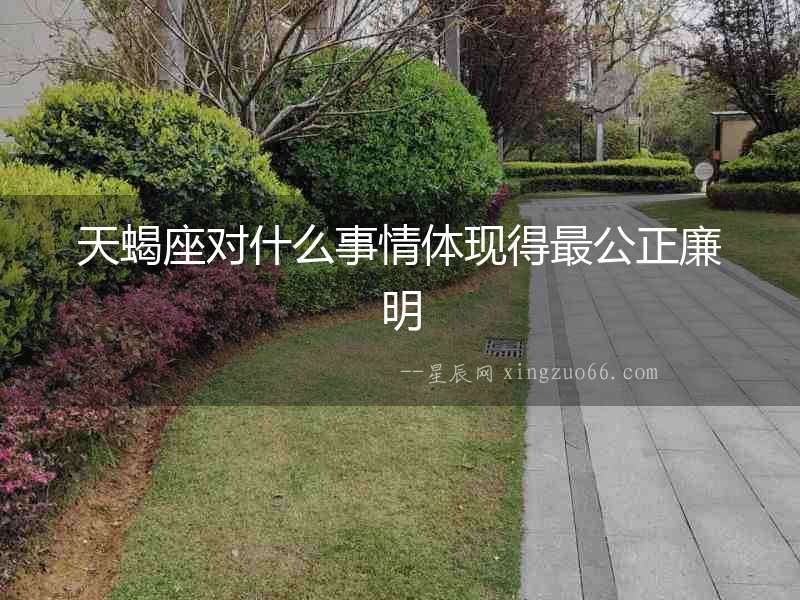 天蝎座對(duì)什么事情體現(xiàn)得最公正廉明