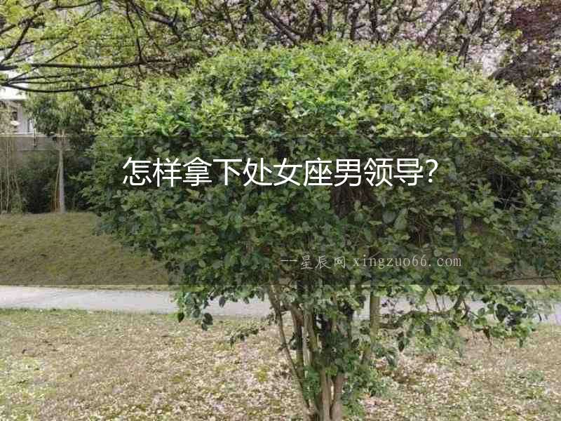 怎樣拿下處女座男領(lǐng)導(dǎo)？
