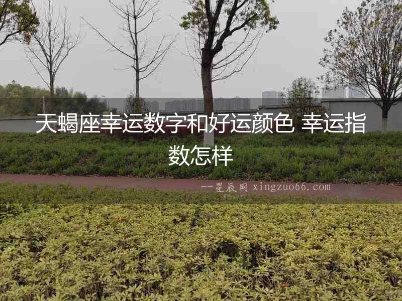 天蝎座幸運數字和好運顏色 幸運指數怎樣