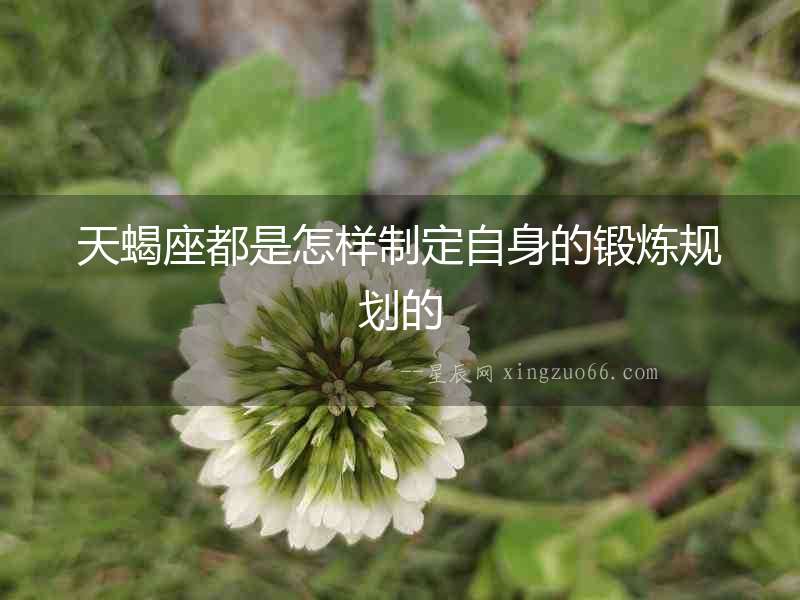 天蝎座都是怎樣制定自身的鍛煉規(guī)劃的