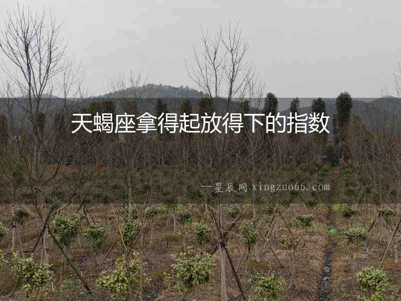 天蝎座拿得起放得下的指數