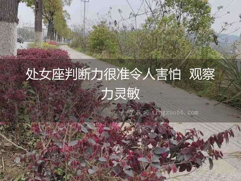 處女座判斷力很準令人害怕  觀察力靈敏