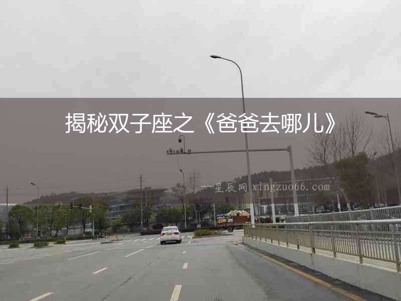 揭秘雙子座之《爸爸去哪兒》