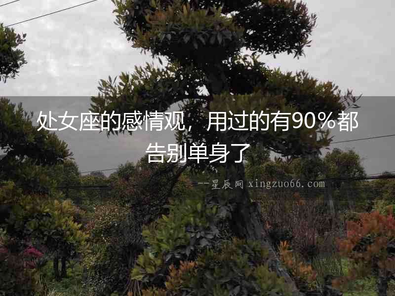 處女座的感情觀，用過的有90％都告別單身了