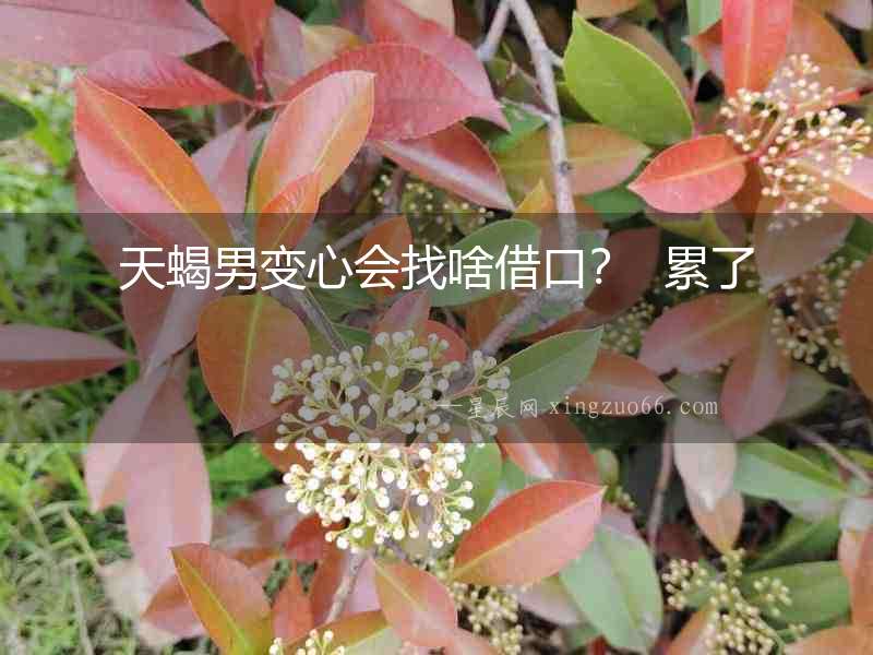 天蝎男變心會找啥借口？  累了