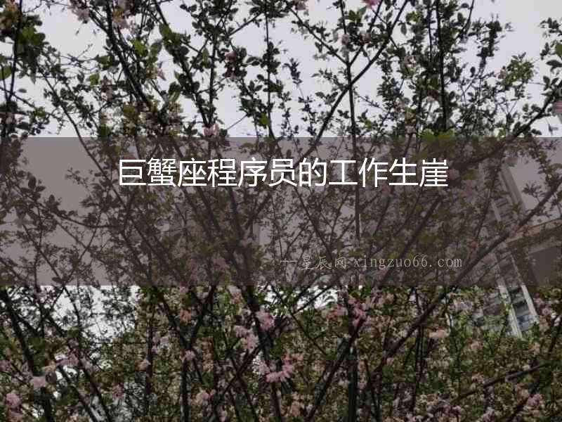 巨蟹座程序員的工作生崖